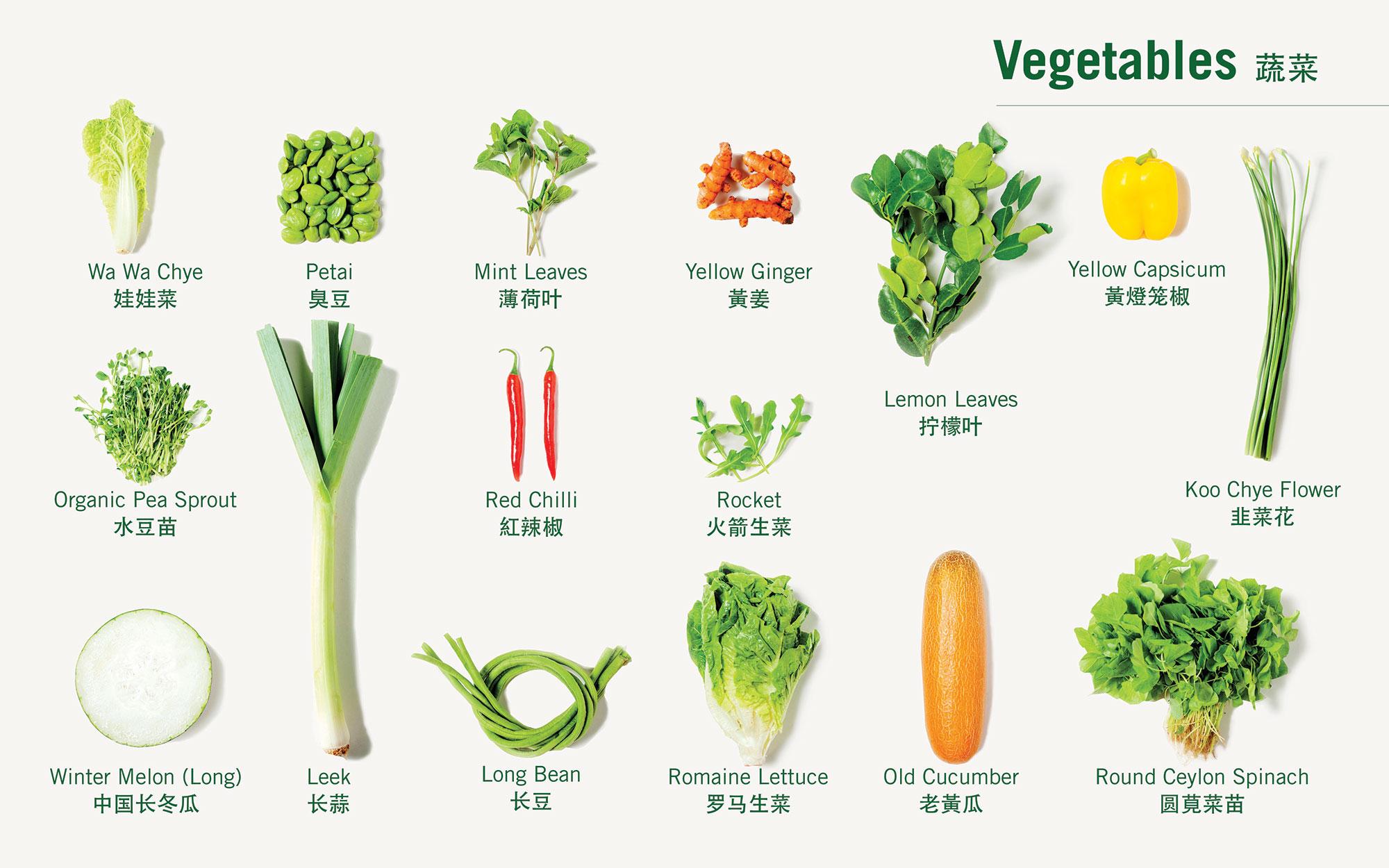 vegetables-5