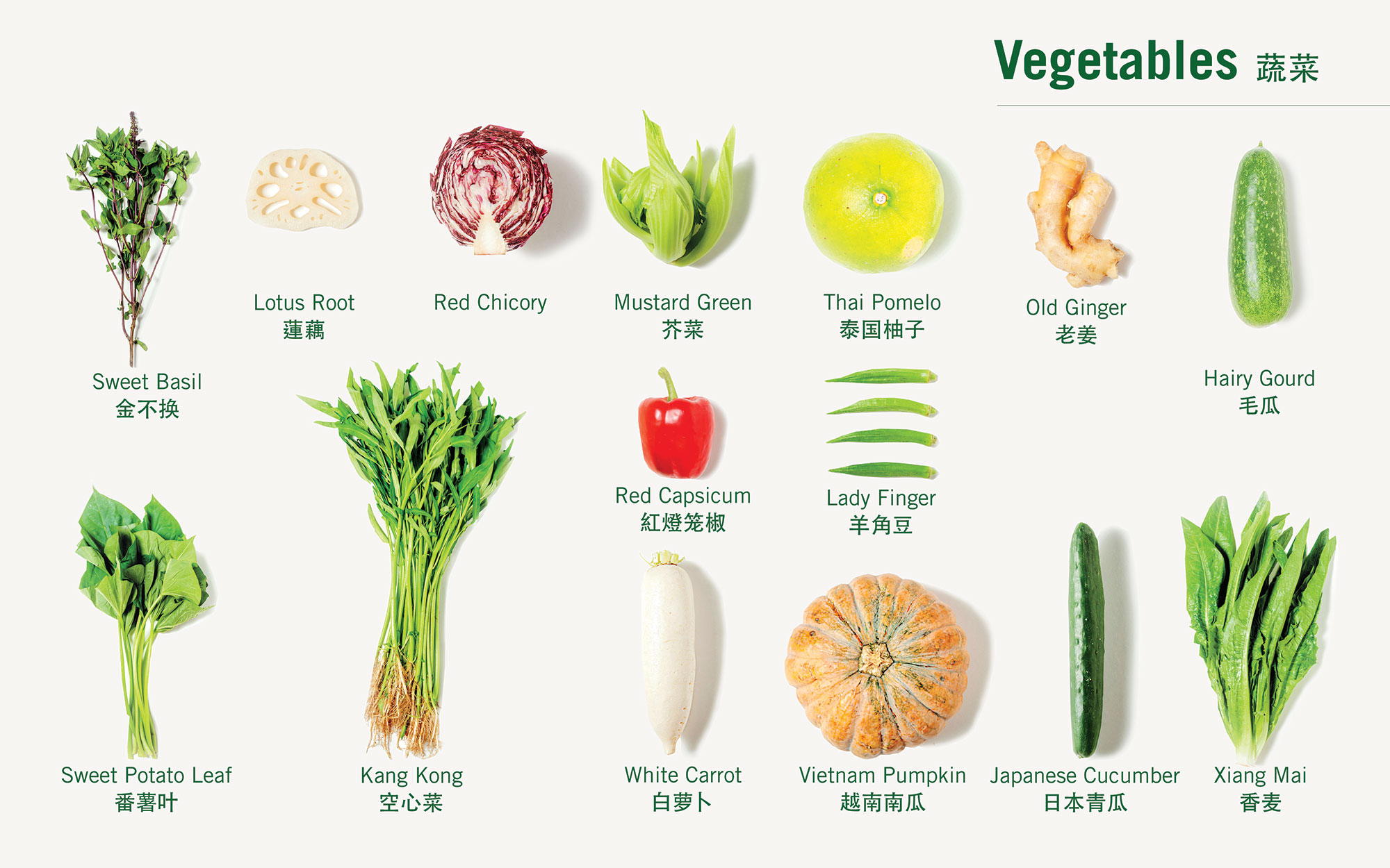 vegetables-7